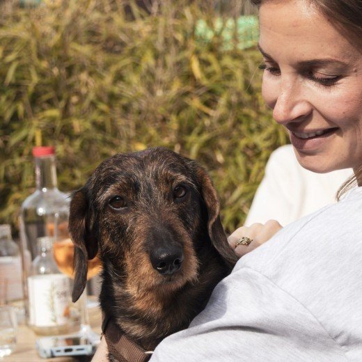 South Limburg in the spring